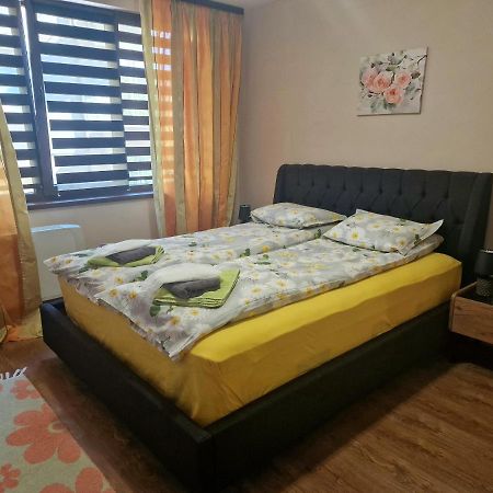 Studio Kamelia Kazanlak Luaran gambar